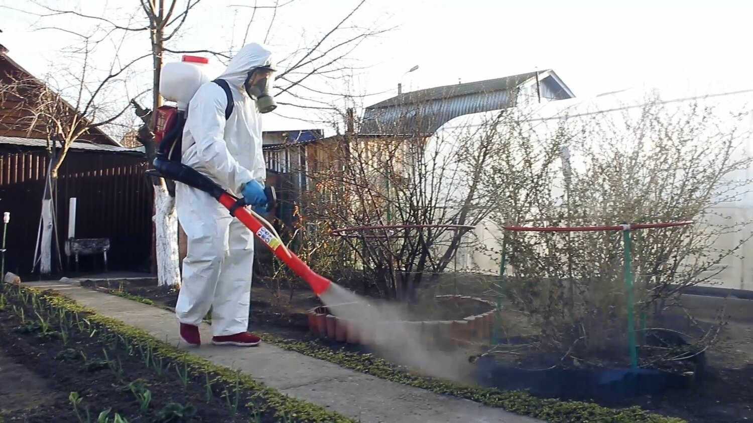 ФОТО Уничтожение муравьёв в Ивантеевке