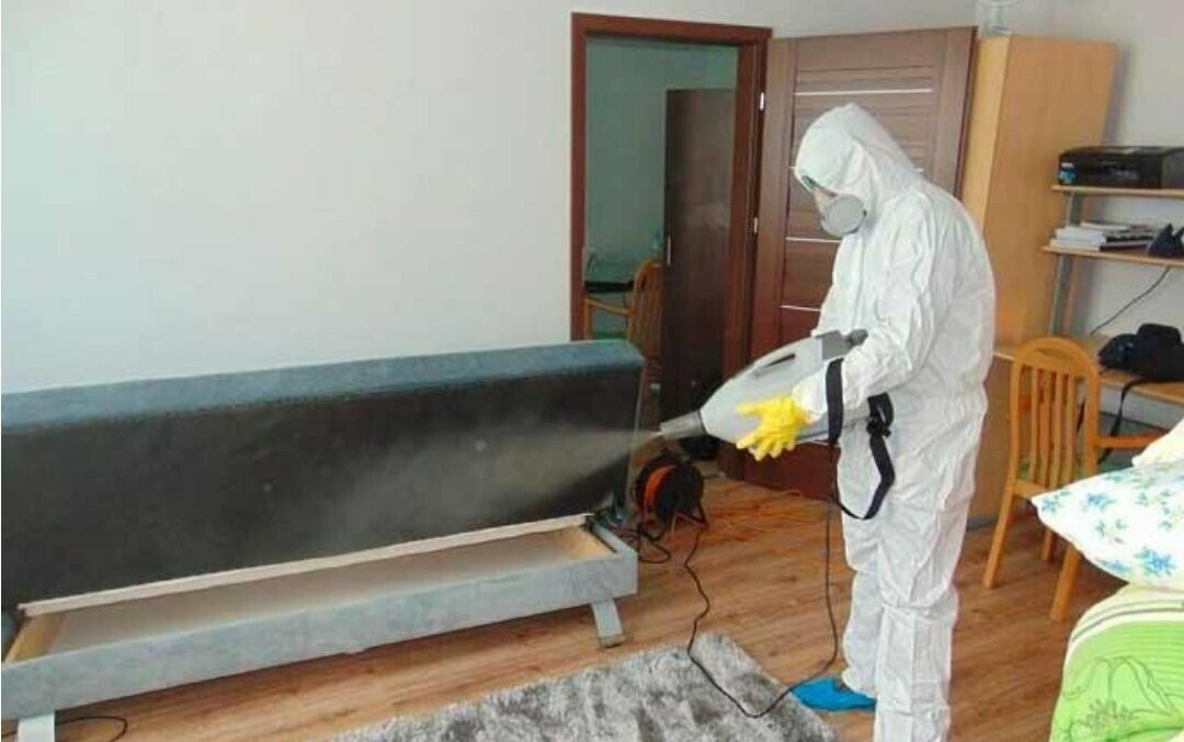 ФОТО Уничтожение блох в Ивантеевке