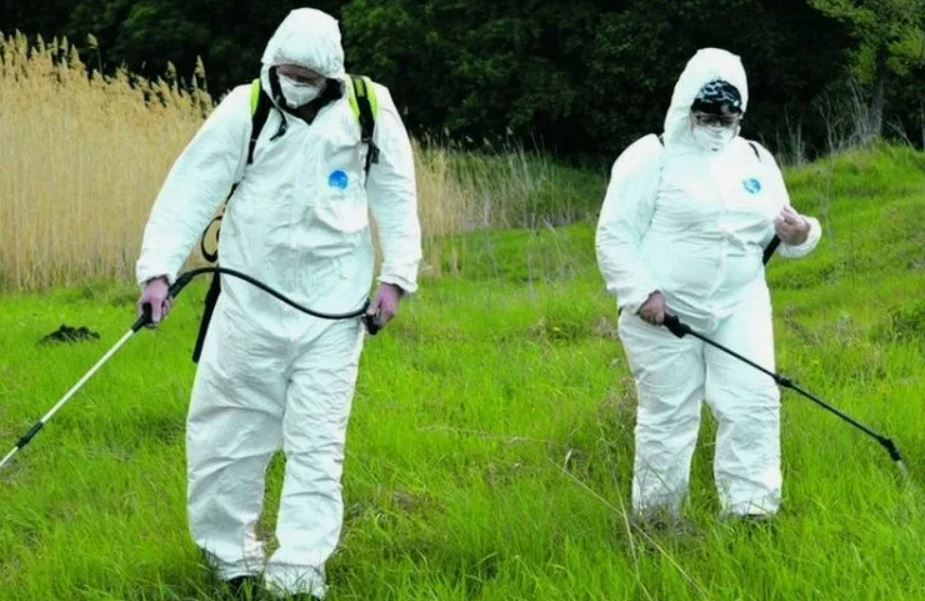 ФОТО Обработка от клещей в Ивантеевке