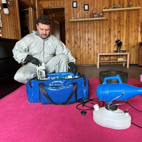 ФОТО Дератизация в Ивантеевке