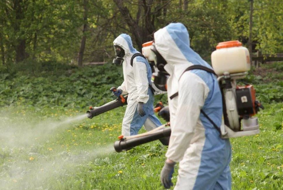 ФОТО Что такое дезинсекция в Ивантеевке? | подробно