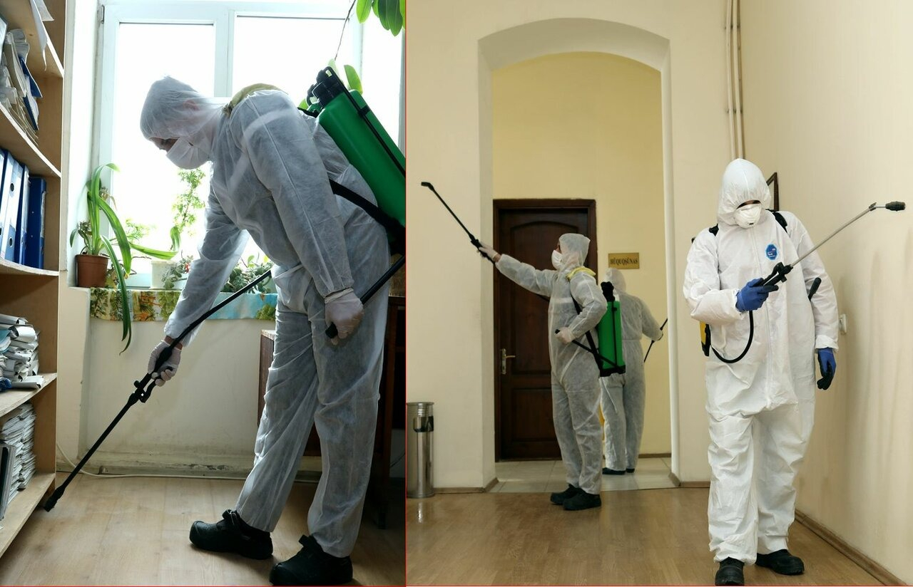 ФОТО Требуется ли лицензия для дезинсекции и дезинфекции в Ивантеевке? | подробно