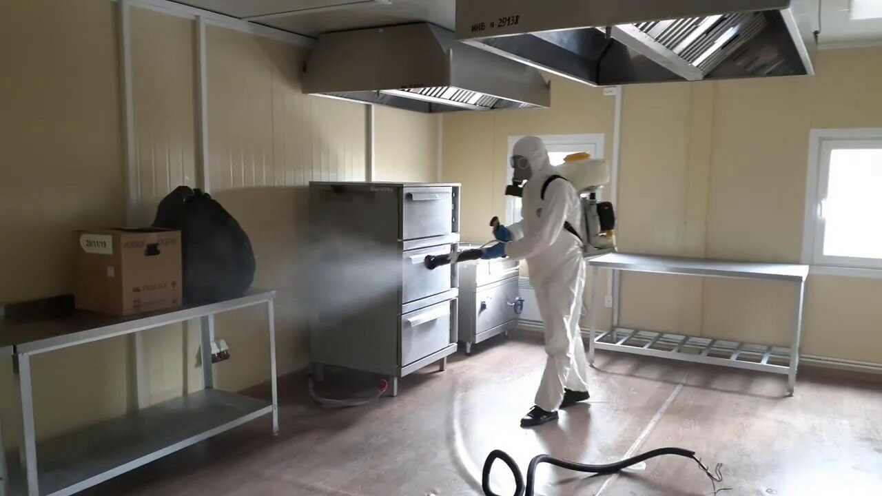 ФОТО Можно ли провести дезинсекцию самостоятельно и какие существуют риски в Ивантеевке? | подробно