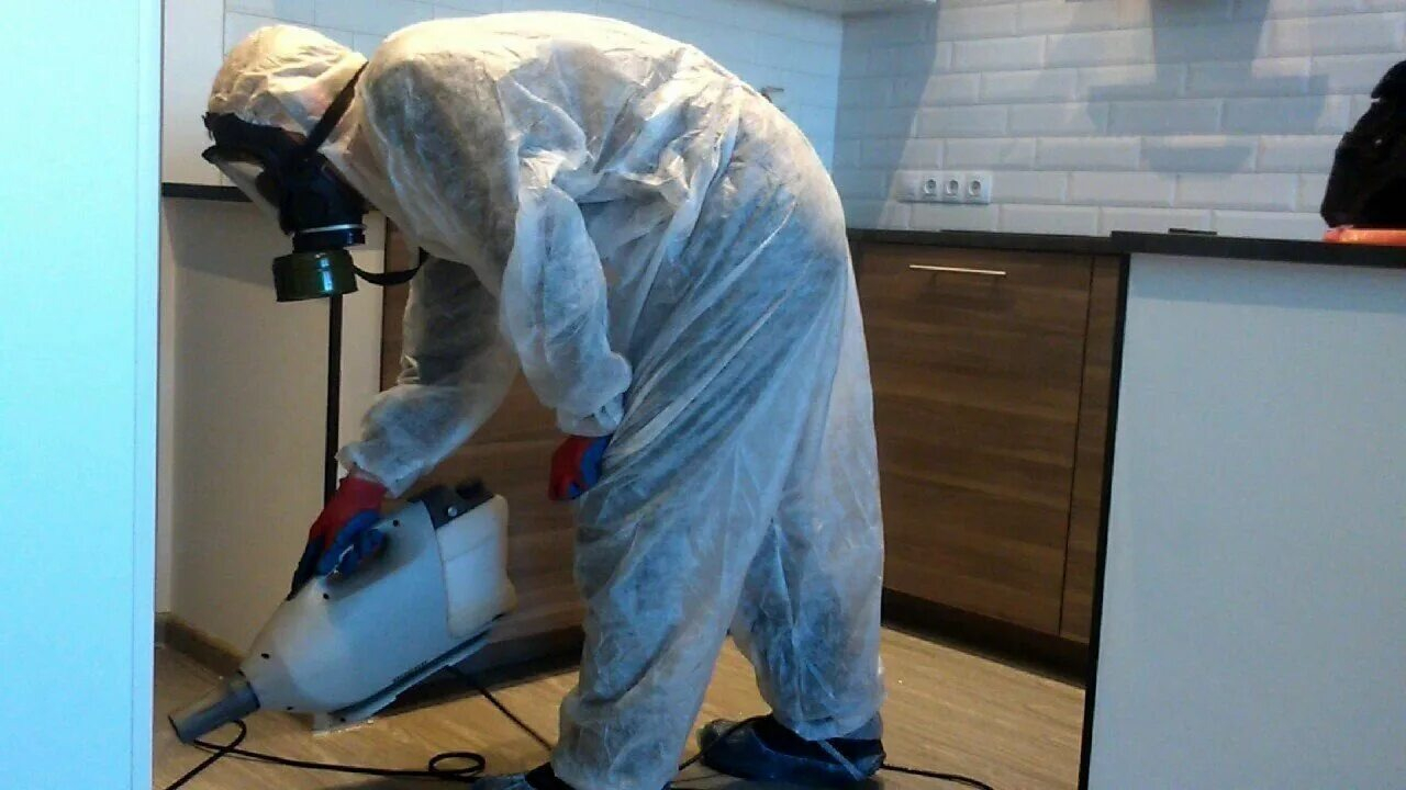 ФОТО Как подготовить домашних животных к обработке от насекомых в Ивантеевке? | подробно