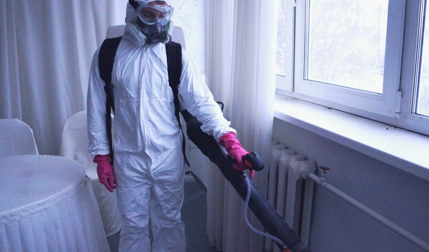 ФОТО Нужно ли выносить растения при дезинсекции в Ивантеевке? | подробно