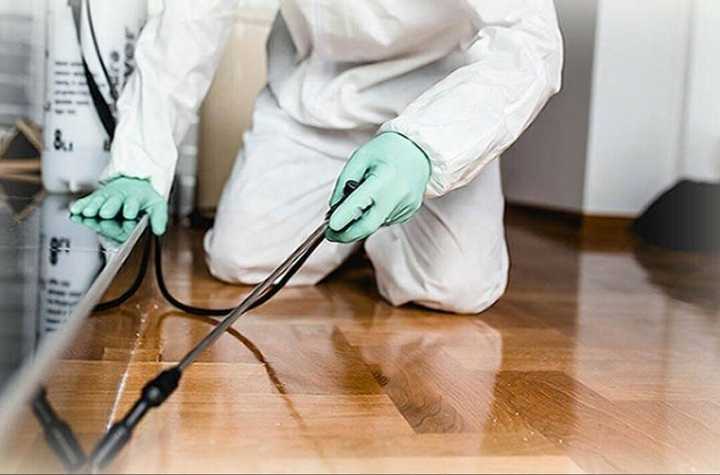 ФОТО Как подготовить вентиляцию при предстоящей дезинсекции в Ивантеевке?