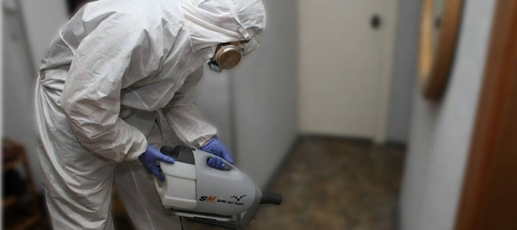 ФОТО Остаются ли следы после обработки квартиры от насекомых в Ивантеевке? | подробно