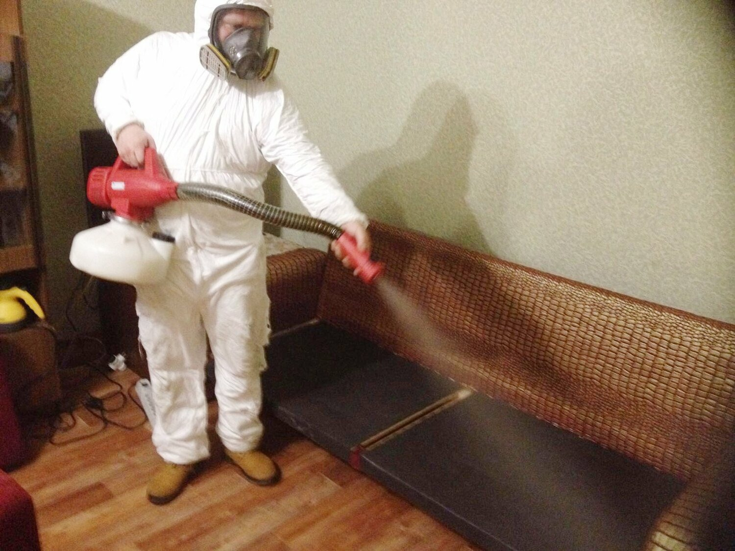 ФОТО Когда можно вернуться в помещение после дезинсекции в Ивантеевке? | подробно