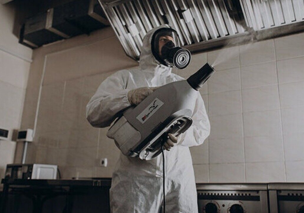 ФОТО Как проветривать помещение после обработки от насекомых в Ивантеевке? | подробно