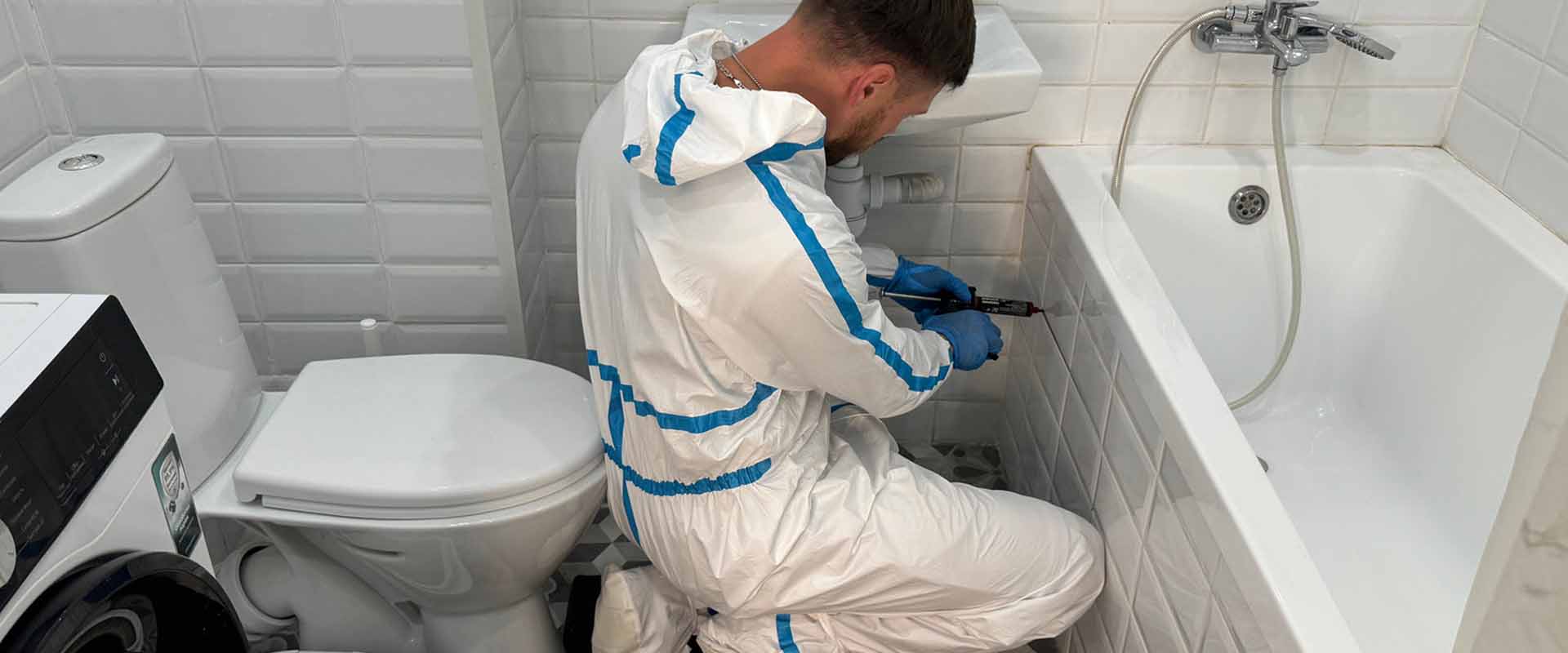 фото: Уничтожение тараканов навсегда с 1-го раза с гарантией за 30-60 мин. в Ивантеевке