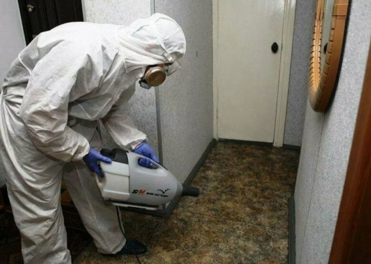 фото: Профессиональная дезинсекция в Ивантеевке: <br/>+7-909-173-42-96