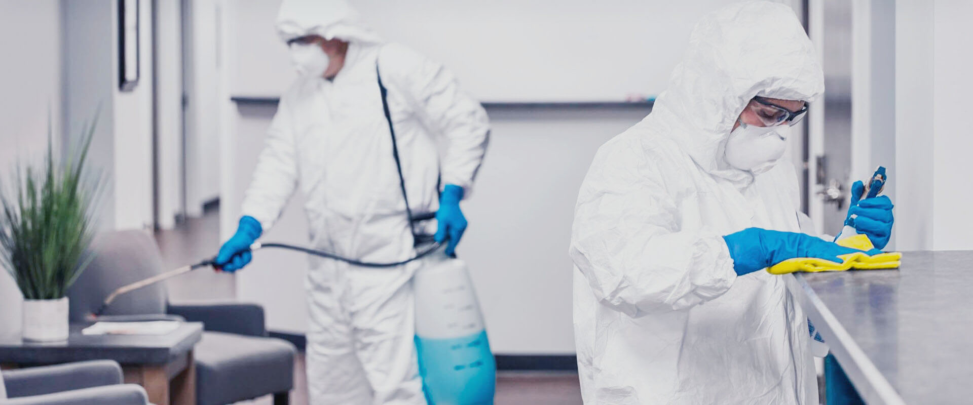 фото: Профессиональная дезинфекция в Ивантеевке: <br/>+7-909-173-42-96